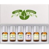 Fragrance Oils Set Of 6