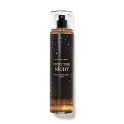 Bath & Body Works Into The Night Body Mist