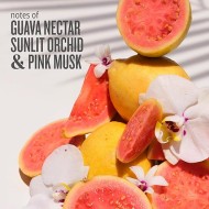 Sol De Janeiro Cheirosa 48 240ml