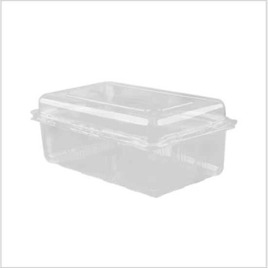Plastic Clear Packaging Containers 500g