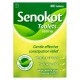 Senokot Senna Constipation Relief 60 Tablets Senokot Senna Constipation Relief 60 Tablets