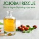 Blistex Jojoba Rescue Lip Balm 3.7g