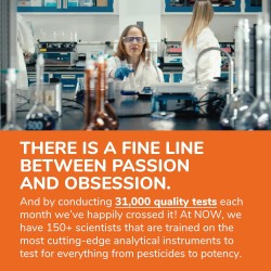 Now Foods Collagen Peptide Powder 227g Now Foods Collagen Peptide Powder 227g