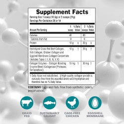 NaturesPlus Collagen Peptides Powder 294g NaturesPlus Collagen Peptides Powder 294g