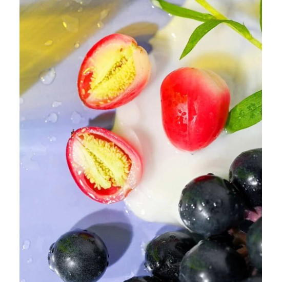 EOS Fresh & Cozy Body Lotion 473ml