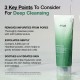 Anua Heartleaf Quercetinol Pore Deep Cleansing Foam Anua Heartleaf Quercetinol Pore Deep Cleansing Foam