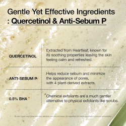Anua Heartleaf Quercetinol Pore Deep Cleansing Foam 150ml