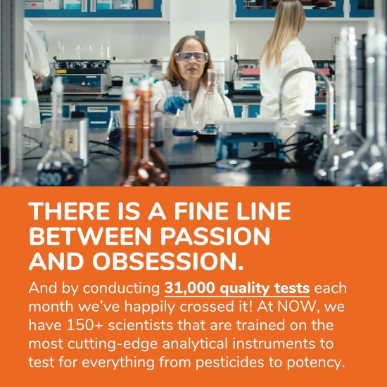 NOW Foods Supplements L-Lysine Hydrochloride 1000 mg