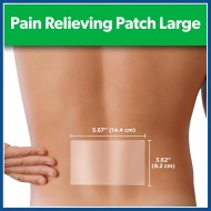 Salonpas Patches Large 6`s