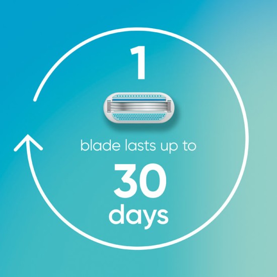 Gillette Venus Smooth Razor