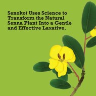 Senokot Senna Constipation Relief 60 Tablets