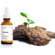 The Ordinary Amino Acids + B5 30ml