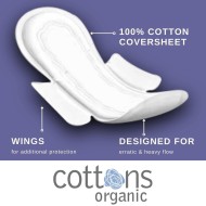 Cottons Organic 100% Natural Overnight Pads-Wings 10 Pack