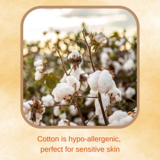 Cottons Maternity Cotton Pads with Wings 10 Pack Cottons Maternity Cotton Pads with Wings 10 Pack