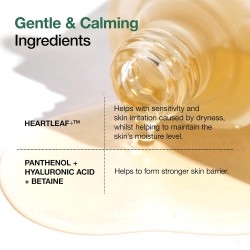 Anua Heartleaf 80% Soothing Ampoule 30ml