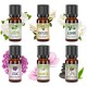 Good Essential Oil Set 6-Pack Floral Aromatherapy Good Essential Oil Set 6-Pack Floral Aromatherapy