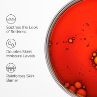 The Ordinary Pycnogenol 5% Antioxidant-Rich Plant Extract 30ml